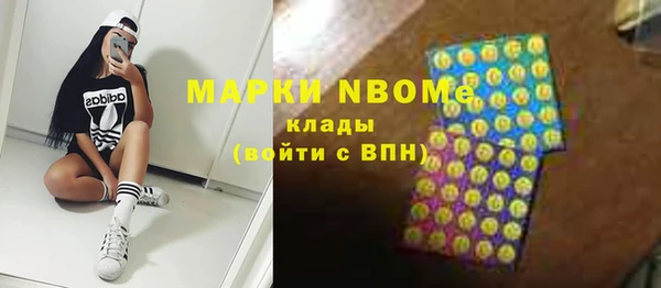 прущие грибы Краснослободск
