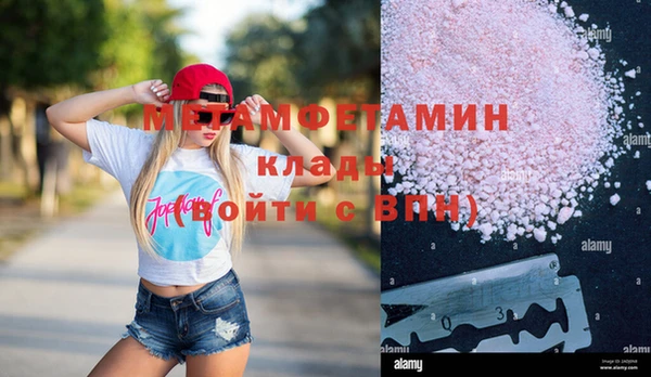 прущие грибы Краснослободск