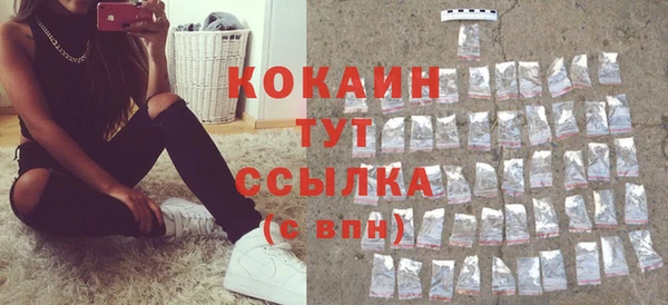 прущие грибы Краснослободск