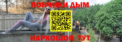 крисы Бийск