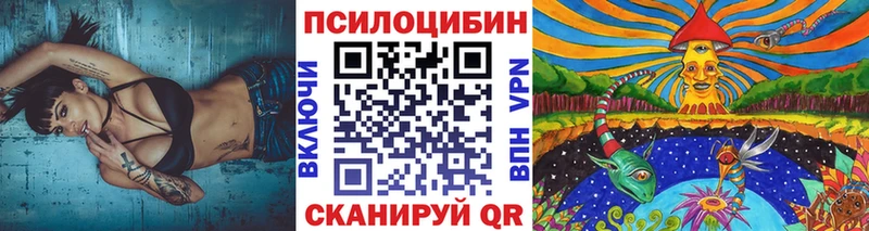 Галлюциногенные грибы GOLDEN TEACHER  Новомосковск 