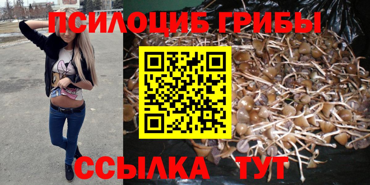 Псилоцибиновые грибы ЛСД  Новомосковск 