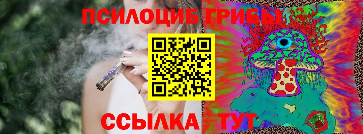 Галлюциногенные грибы Cubensis Новомосковск